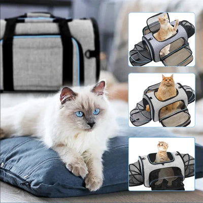 Foldable Expandable Pet Travel