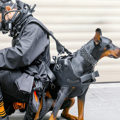 Outdoor carrier