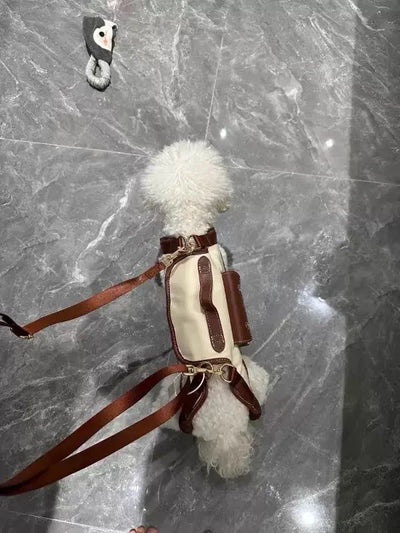 2 - in - 1 Pet Carrier & Harness Stylish