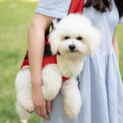 Backpacks Portable Pet Bags