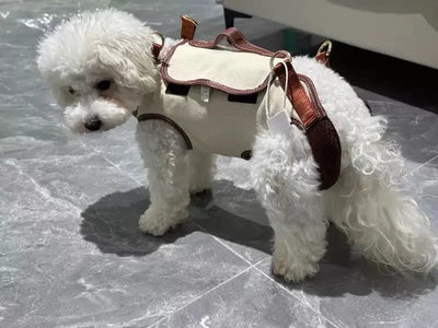 2 - in - 1 Pet Carrier & Harness Stylish