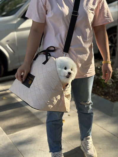 Shoulder Handbag