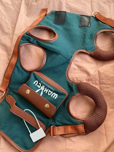 2 - in - 1 Pet Carrier & Harness Stylish