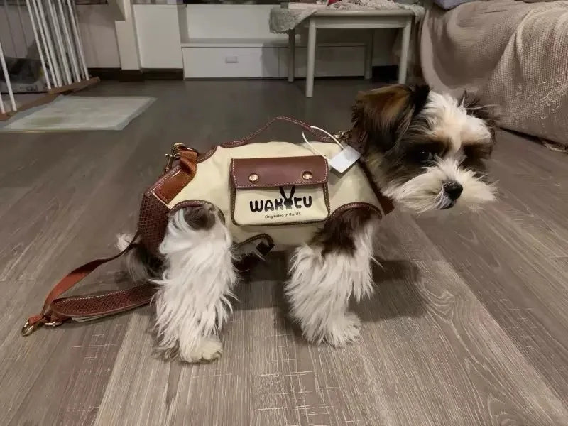 2 - in - 1 Pet Carrier & Harness Stylish
