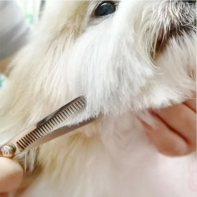 Grooming Scissors