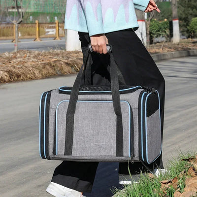 Foldable Expandable Pet Travel