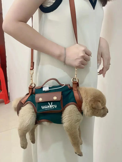 2 - in - 1 Pet Carrier & Harness Stylish