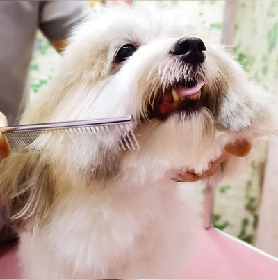 Grooming Scissors