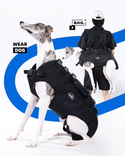 Outdoor carrier