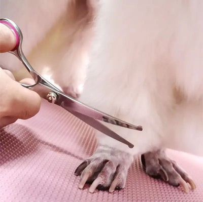 Grooming Scissors