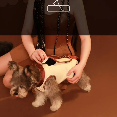 2 - in - 1 Pet Carrier & Harness Stylish