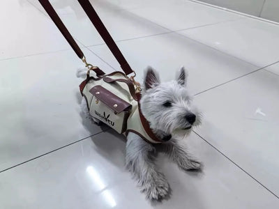 2 - in - 1 Pet Carrier & Harness Stylish