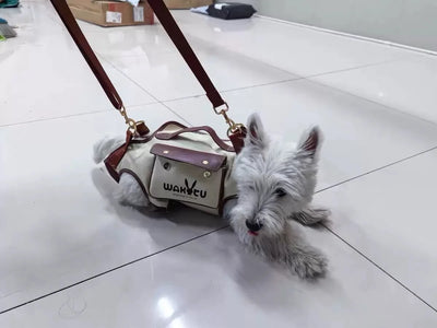 2 - in - 1 Pet Carrier & Harness Stylish