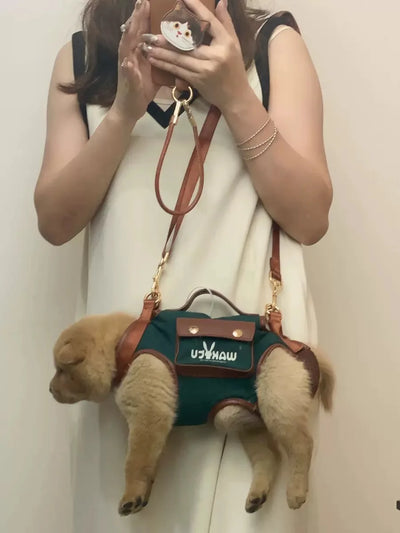 2 - in - 1 Pet Carrier & Harness Stylish