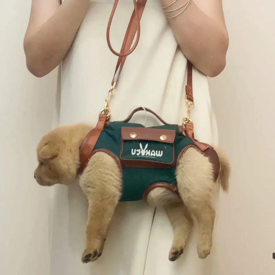 2 - in - 1 Pet Carrier & Harness Stylish