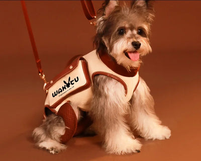 2 - in - 1 Pet Carrier & Harness Stylish