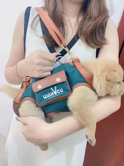 2 - in - 1 Pet Carrier & Harness Stylish