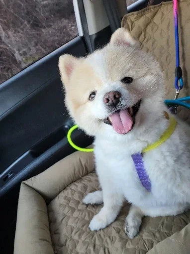 1PC Waterproof Dog Car Seat
