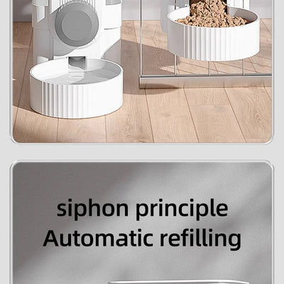 Automatic Dispenser Food