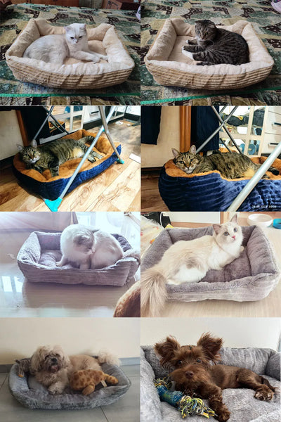 Pet Square Plush Kennel