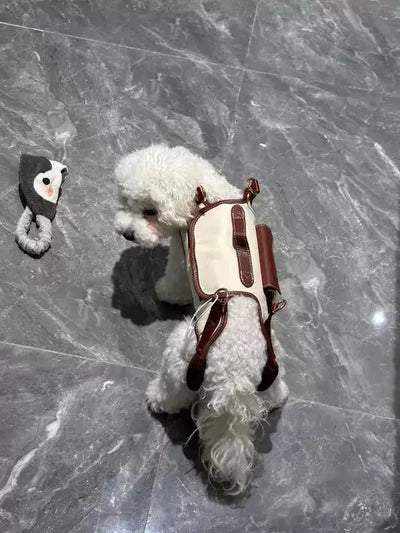 2 - in - 1 Pet Carrier & Harness Stylish