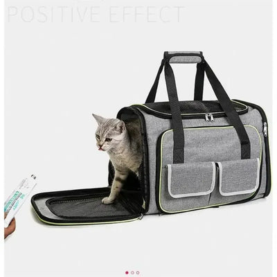 Foldable Expandable Pet Travel