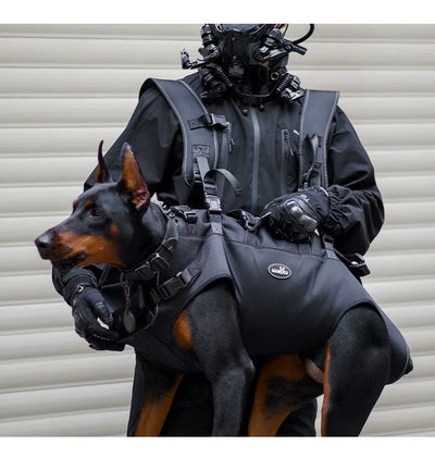 Outdoor carrier
