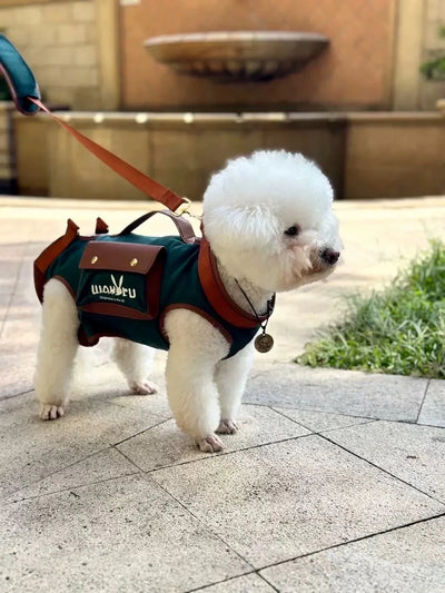 2 - in - 1 Pet Carrier & Harness Stylish