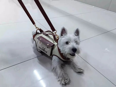 2 - in - 1 Pet Carrier & Harness Stylish
