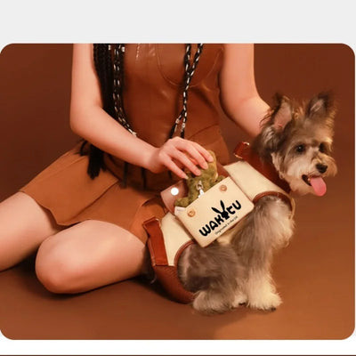 2 - in - 1 Pet Carrier & Harness Stylish