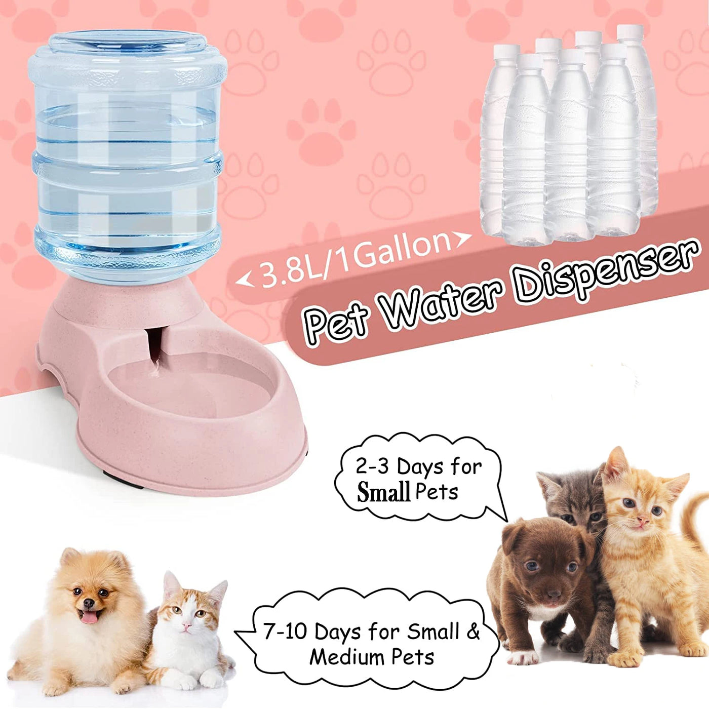 Pet Feeding Drinker bowl