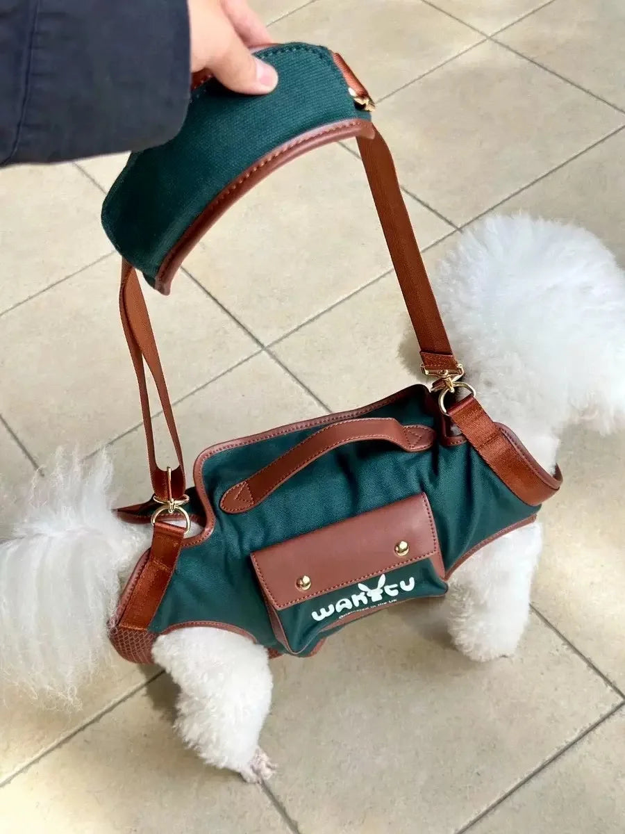 2 - in - 1 Pet Carrier & Harness Stylish
