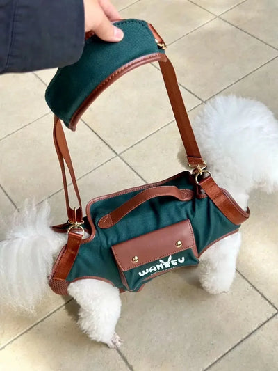 2 - in - 1 Pet Carrier & Harness Stylish