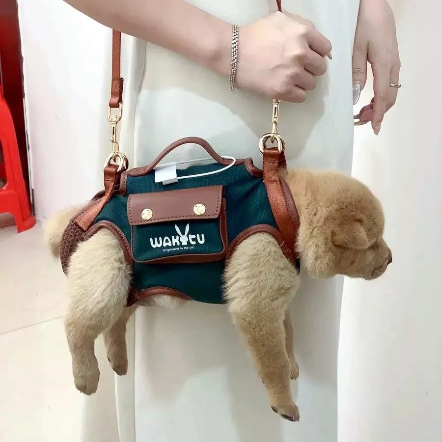 2 - in - 1 Pet Carrier & Harness Stylish